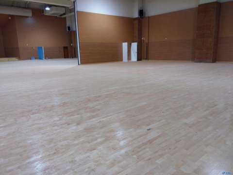 体育馆木地板价格